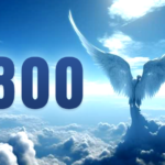 Angel Number 800: Understand The Importance And Symbolism!