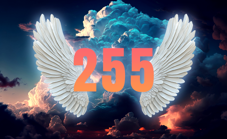 Understand the Meaning And Significance Of Angel Number 255